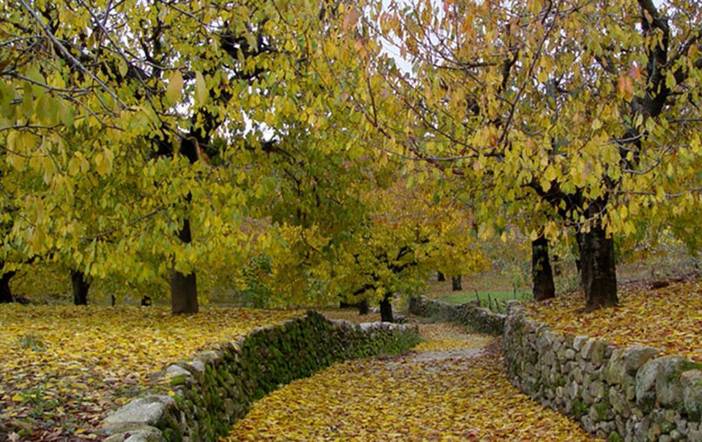 Apartamentos Valle Del Jerte El Huerto Del Cura Cabezuela Del Valle Luaran gambar